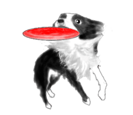 Mr.Very! Disc&agility competitions sticker #4546828