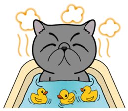 Sara & Sera and friends(2nd) of the cat. sticker #4547065