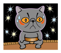 Sara & Sera and friends(2nd) of the cat. sticker #4547099