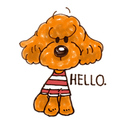 Toy Poodle Of All By 146 Ishiro Toy Poodle Of All By 146 Ishiro