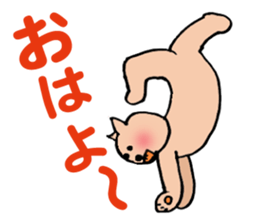 Bad teeth team of cats sticker #4547963