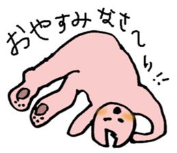 Bad teeth team of cats sticker #4547964