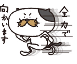 The Modest Cat sticker #4550517