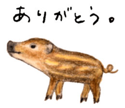 Ai Akikusa's Animals sticker sticker #4550716