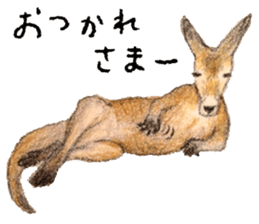 Ai Akikusa's Animals sticker sticker #4550719