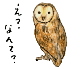 Ai Akikusa's Animals sticker sticker #4550721