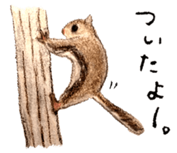 Ai Akikusa's Animals sticker sticker #4550729