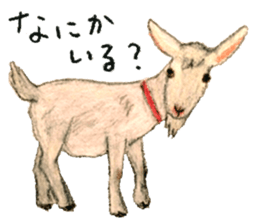 Ai Akikusa's Animals sticker sticker #4550742