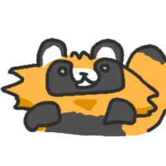 Hide of a racoon dog