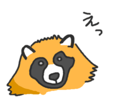 Hide of a racoon dog sticker #4555832