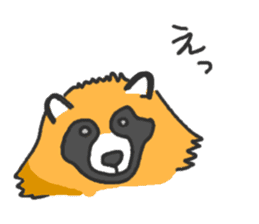 Hide of a racoon dog sticker #4555832