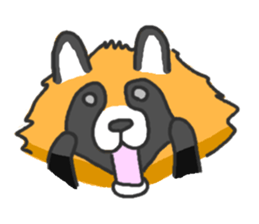 Hide of a racoon dog sticker #4555833