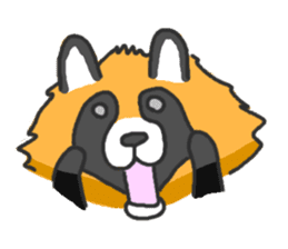 Hide of a racoon dog sticker #4555833