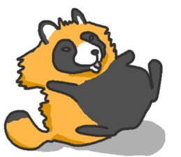 Hide of a racoon dog sticker #4555834