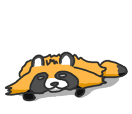 Hide of a racoon dog sticker #4555838