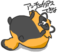 Hide of a racoon dog sticker #4555845