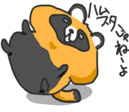 Hide of a racoon dog sticker #4555850