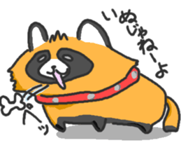 Hide of a racoon dog sticker #4555851