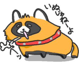 Hide of a racoon dog sticker #4555851