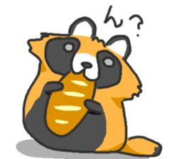 Hide of a racoon dog sticker #4555864