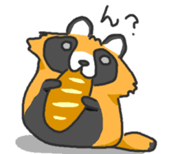 Hide of a racoon dog sticker #4555864