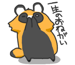 Hide of a racoon dog sticker #4555869