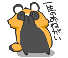 Hide of a racoon dog sticker #4555869