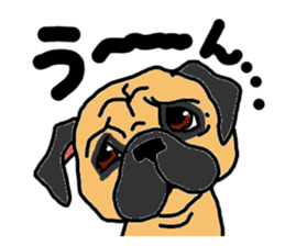 pug.bull sticker #4556554