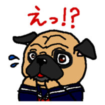 pug.bull sticker #4556557