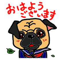 pug.bull sticker #4556559