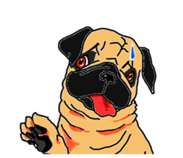 pug.bull sticker #4556566