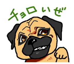 pug.bull sticker #4556568