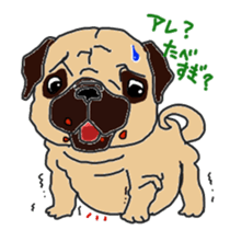 pug.bull sticker #4556576