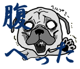 pug.bull sticker #4556581