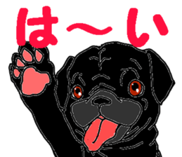 pug.bull sticker #4556585