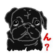 pug.bull sticker #4556586
