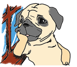pug.bull sticker #4556591