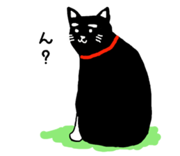 cat in white socks sticker #4559512