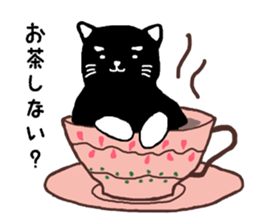 cat in white socks sticker #4559516