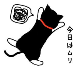 cat in white socks sticker #4559523