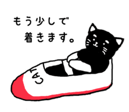 cat in white socks sticker #4559548