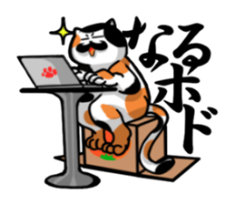 Cats at their own pace sticker #4560974