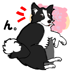 My dog likes "NO.1".