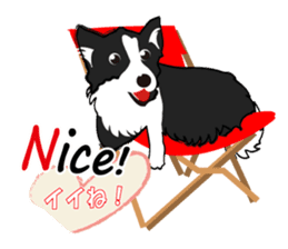 My dog likes "NO.1". sticker #4561954