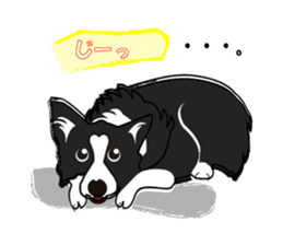 My dog likes "NO.1". sticker #4561958