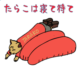 An  unique cat life. sticker #4567796