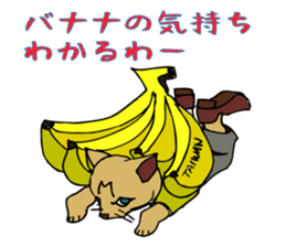 An  unique cat life. sticker #4567797