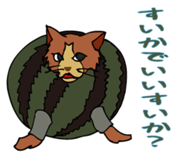 An  unique cat life. sticker #4567807