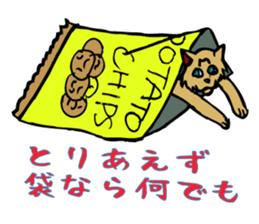 An  unique cat life. sticker #4567815