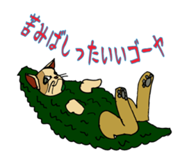 An  unique cat life. sticker #4567819